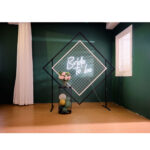 Black Diamond Mesh Display